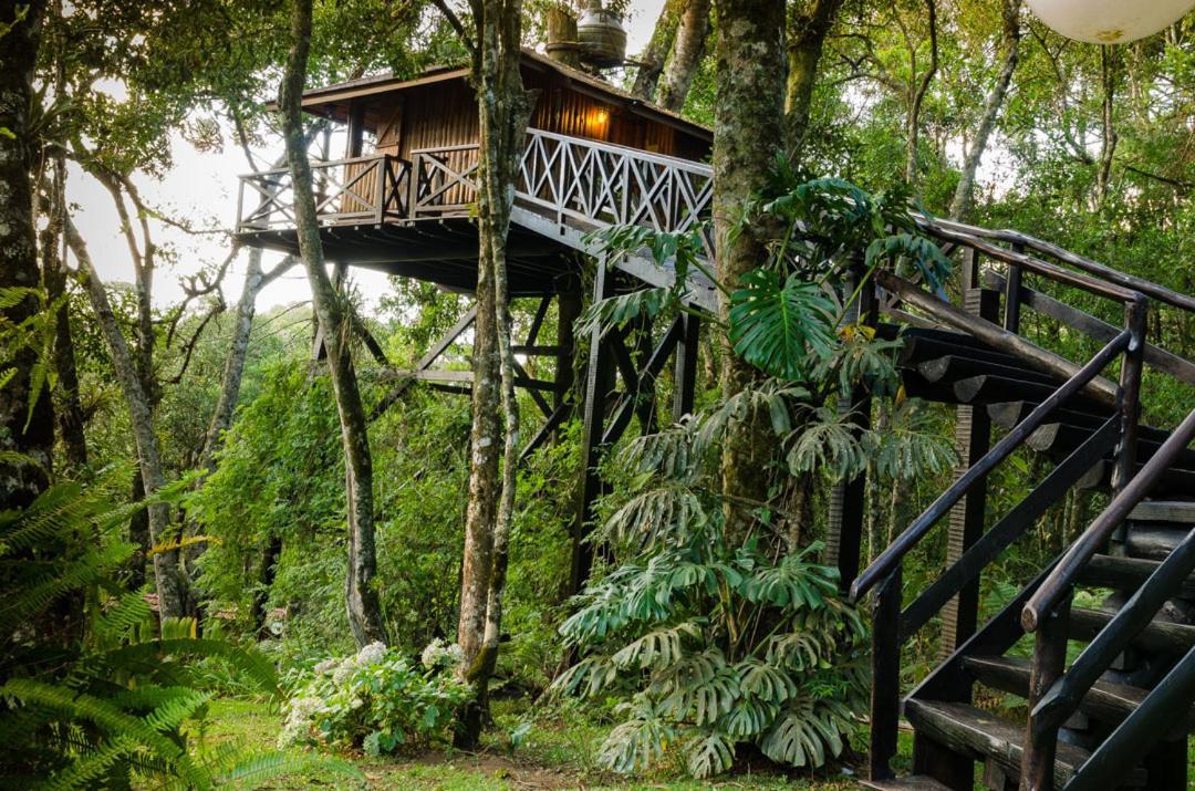 Alojamento Recanto Da Fonte Monte - Mg Monte Verde (Minas Gerais)